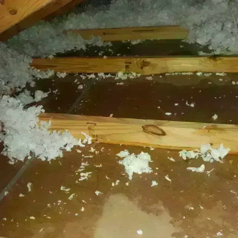 Attic Water Damage in Lee County, VA